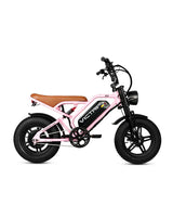 VICTRIP®R6 Off Road Ebike