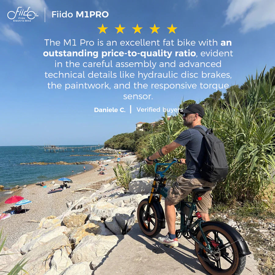 Fiido M1 pro