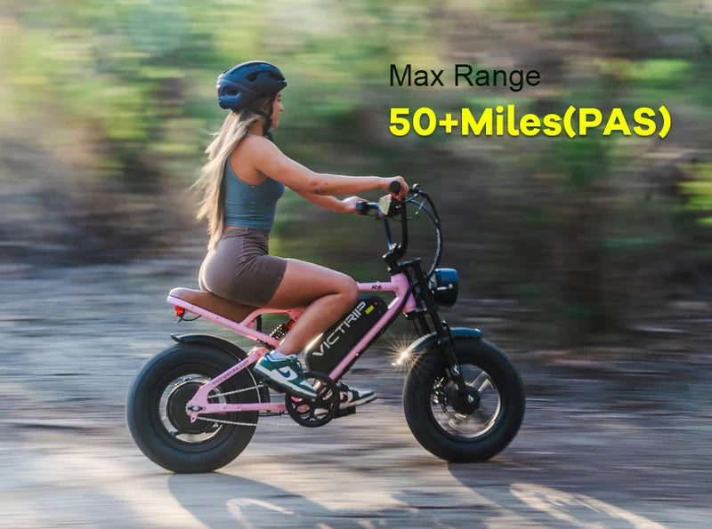 VICTRIP®R6 Off Road Ebike