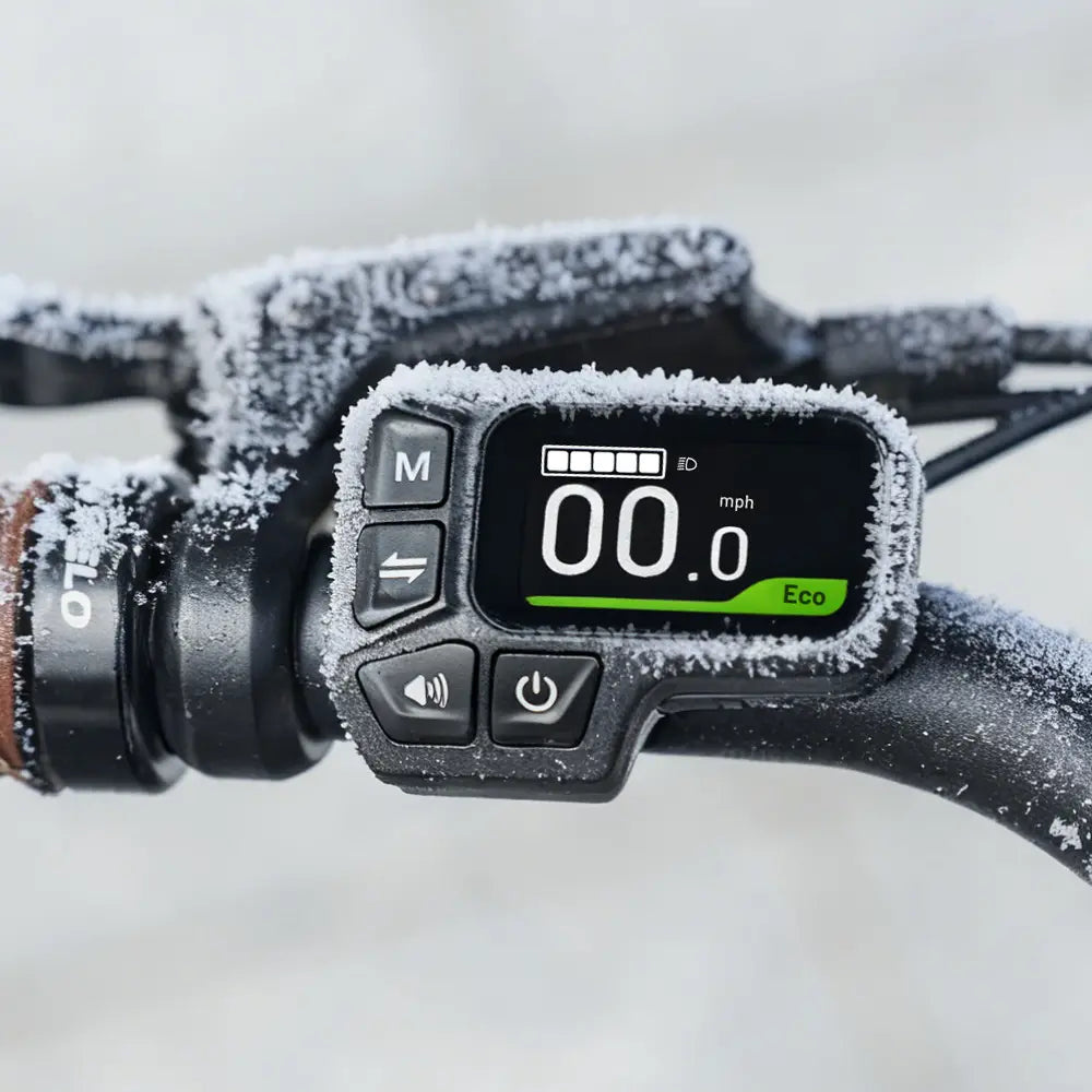 fiido c11 elcykel i danmark