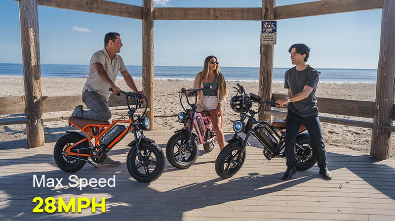 VICTRIP®R6 Off Road Ebike