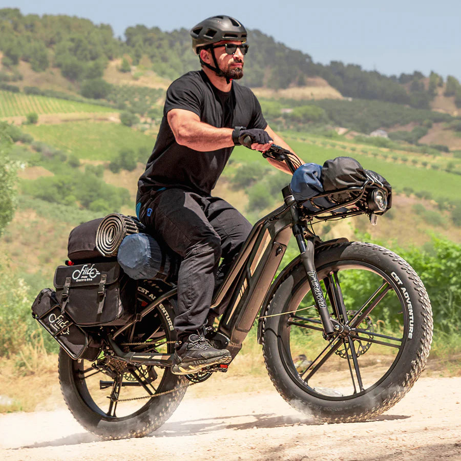Fiido Titan Titan Fat Tire Touring Ebike - Long Range