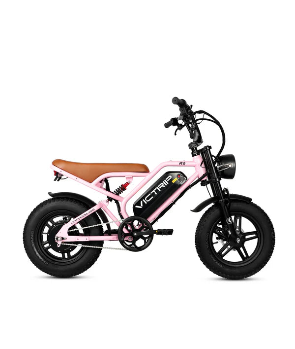 VICTRIP®R6 Off Road Ebike