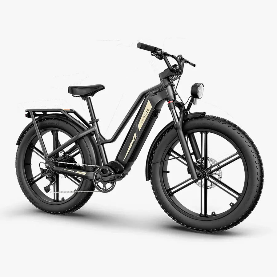 Fiido Titan Titan Fat Tire Touring Ebike - Long Range