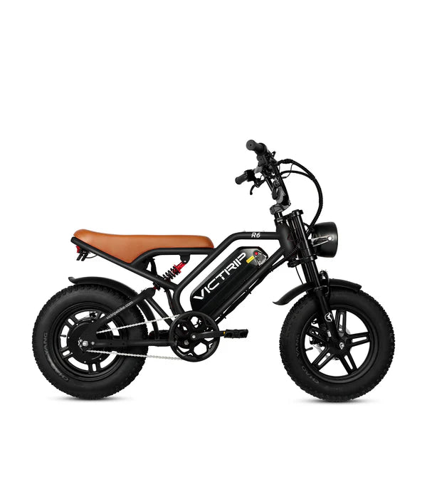 VICTRIP®R6 Off Road Ebike