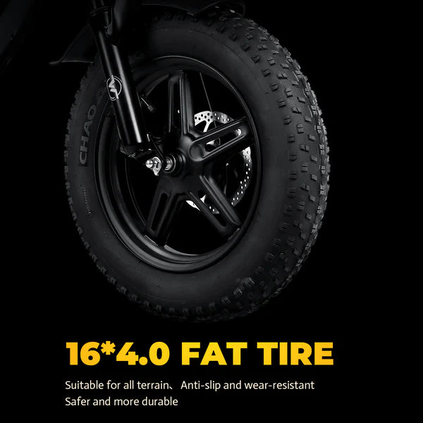VICTRIP®R6 Off Road Ebike