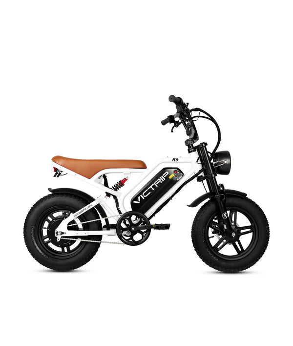 VICTRIP®R6 Off Road Ebike