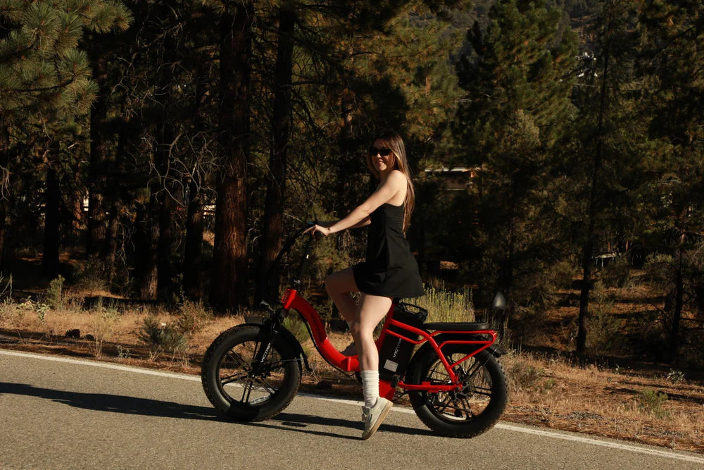 VICTRIP® TITAN S Foldable Ebike