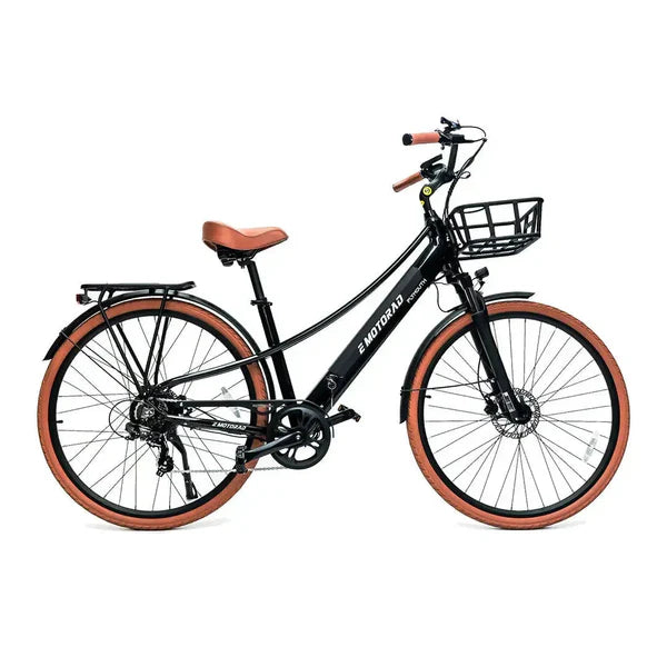 Plymouth City e-Bike