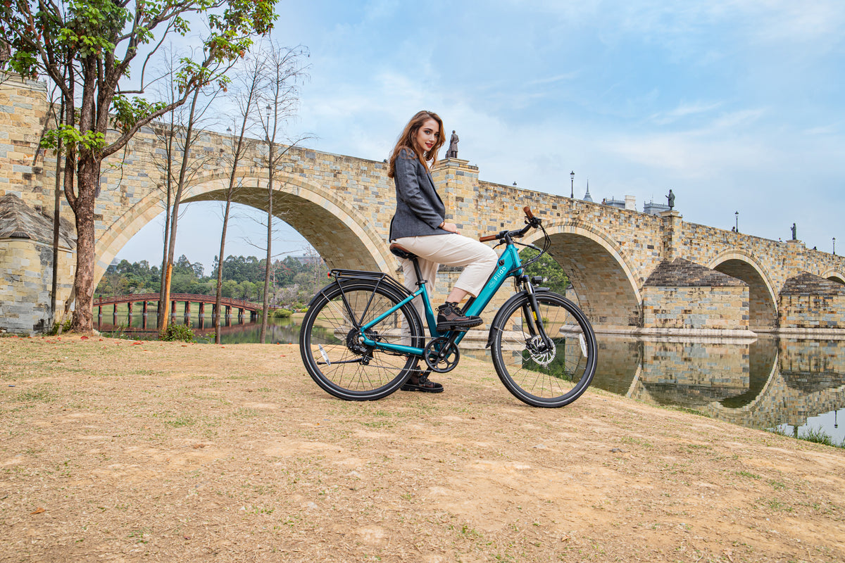 Fiido c11 pro denamrk i twowheels.dk