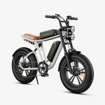 ENGWE M20