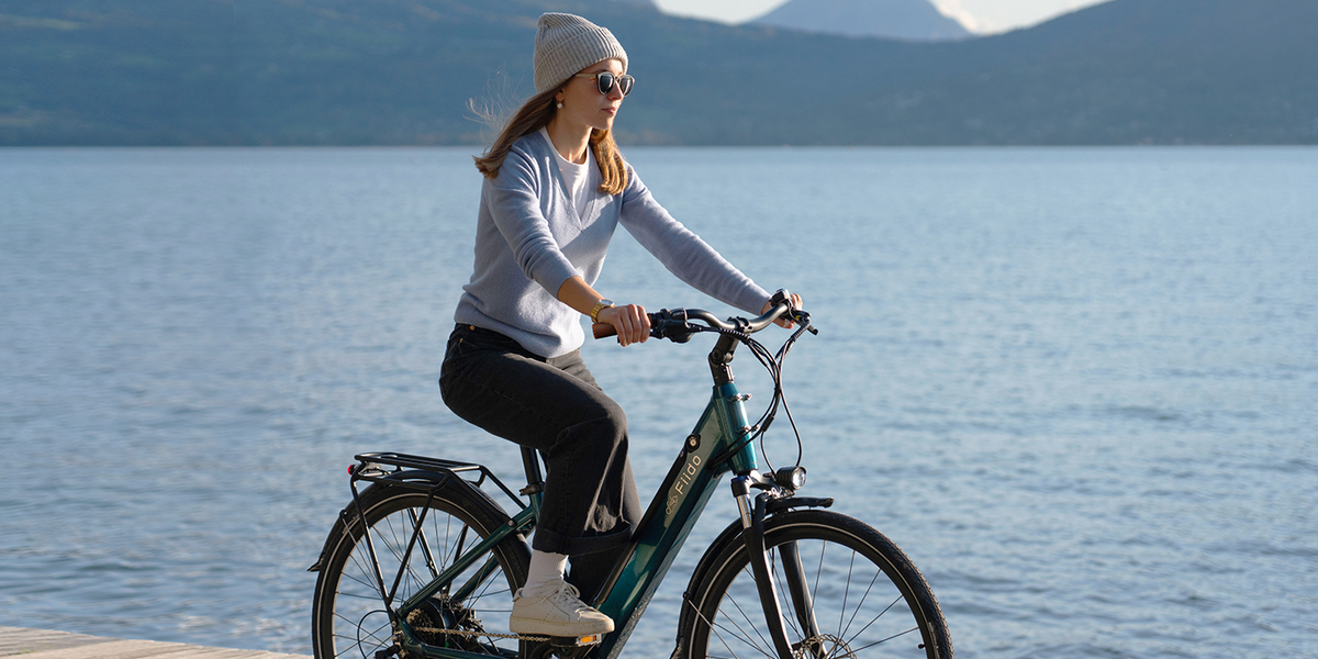 C11 pro elcykel i danmark