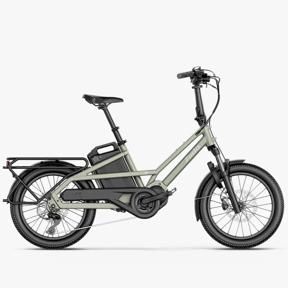 Fiido T3 Urban Family Cargo E-Bike