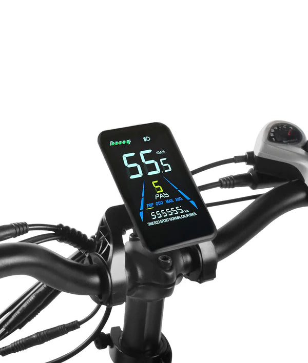 VICTRIP® Janus2.0&Janus ES 2.0 Foldable Ebike