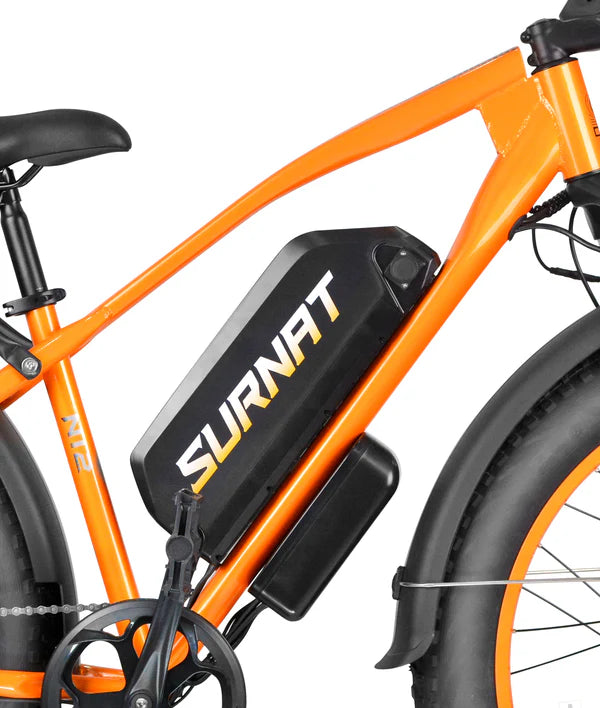 VICTRIP®SURNAT N12 2000w Electric Bike