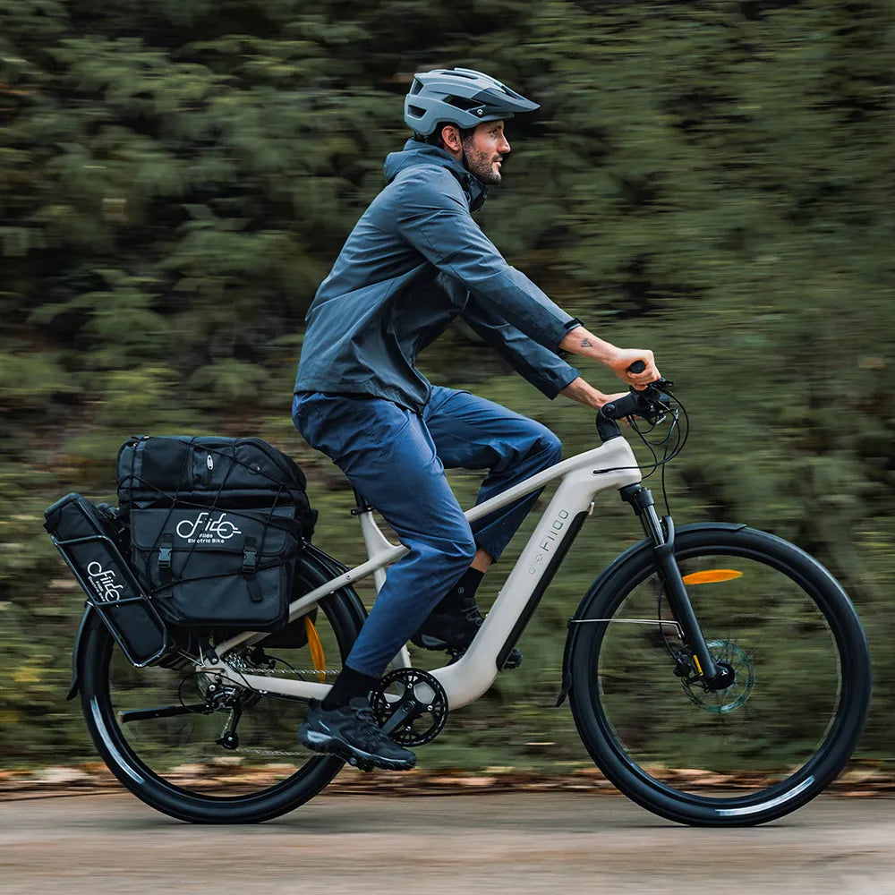 Fiido Nomads Touring E-Bike ( standard 79km)