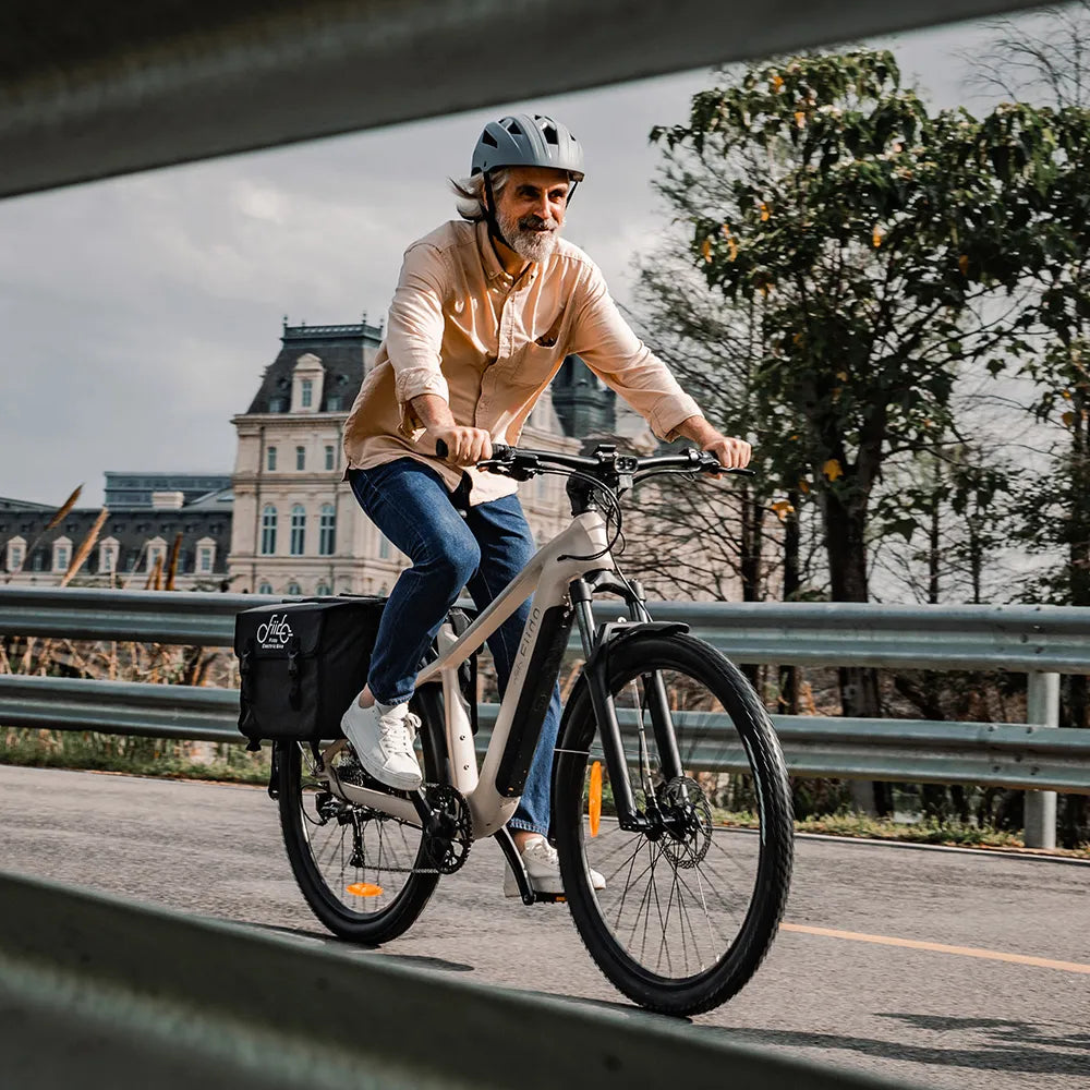 Fiido Nomads Touring E-Bike ( standard 79km)