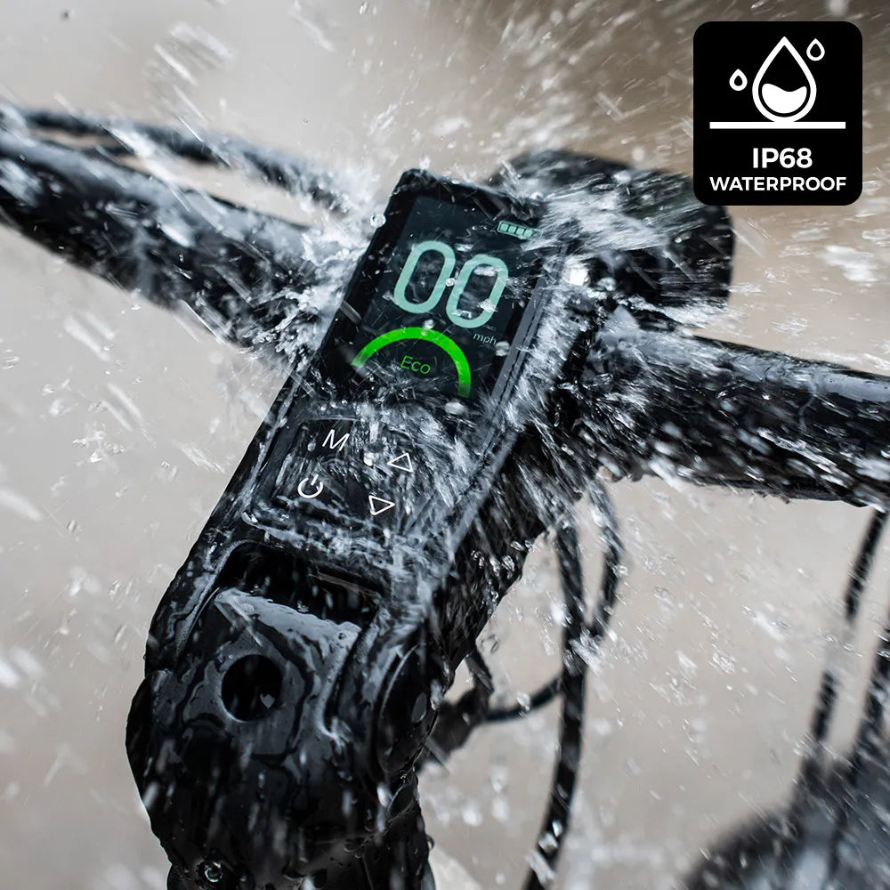 Fiido Nomads Touring E-Bike ( standard 79km)