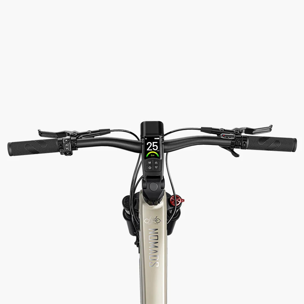 Fiido Nomads Touring E-Bike ( standard 79km)