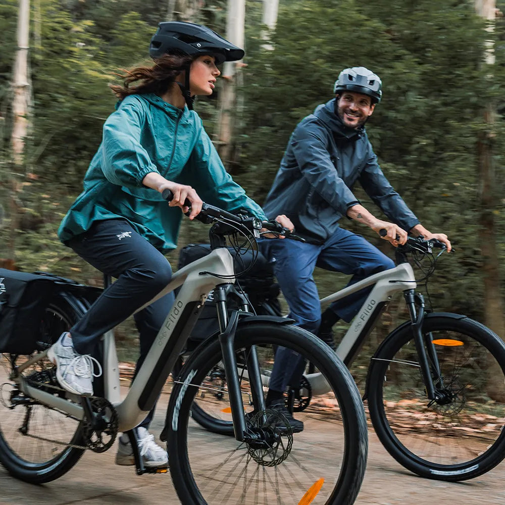 Fiido Nomads Touring E-Bike ( standard 79km)