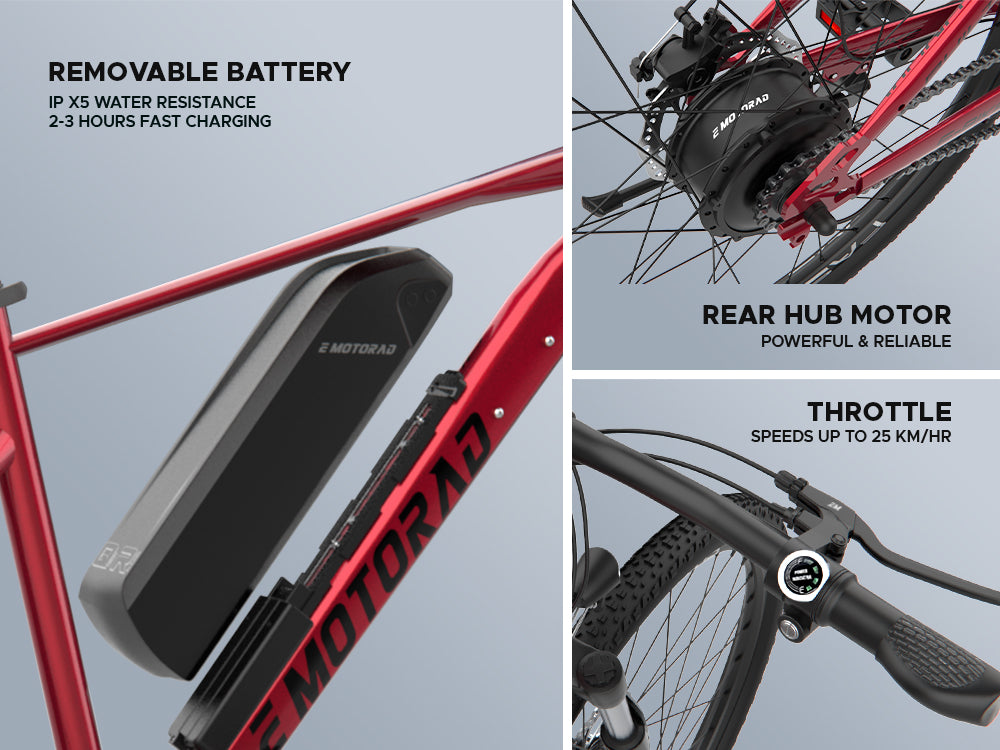 EMotorad X1 Electric Bicycle