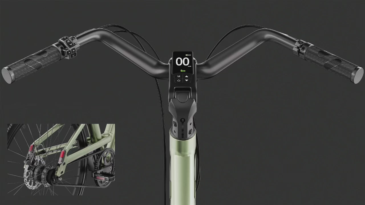 Integrated Display and urn Signal