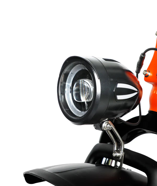 VICTRIP® R5 Foldable Ebike