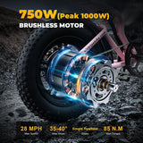 VICTRIP®R6 Off Road Ebike