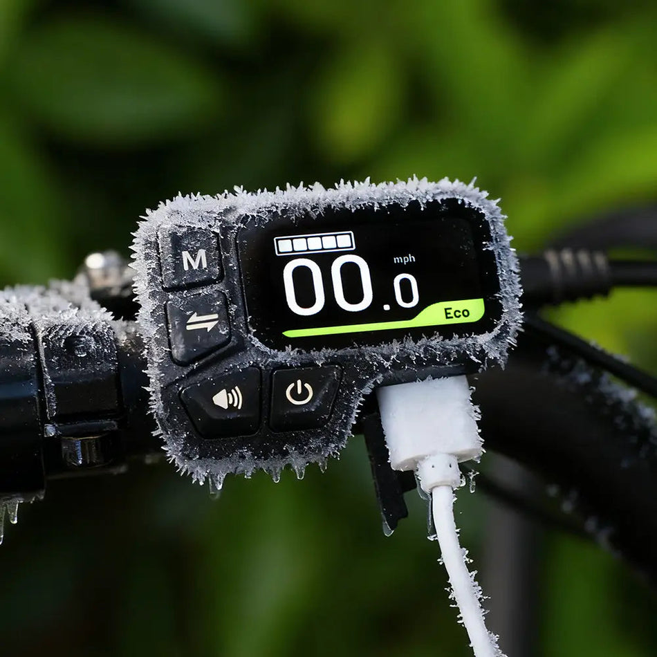 Fiido T2 longtail cargo elcykel