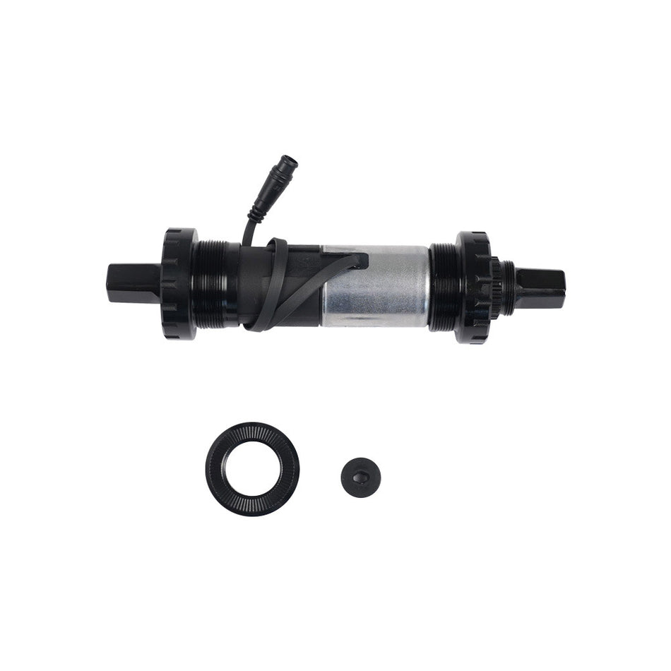 Torque Sensor
