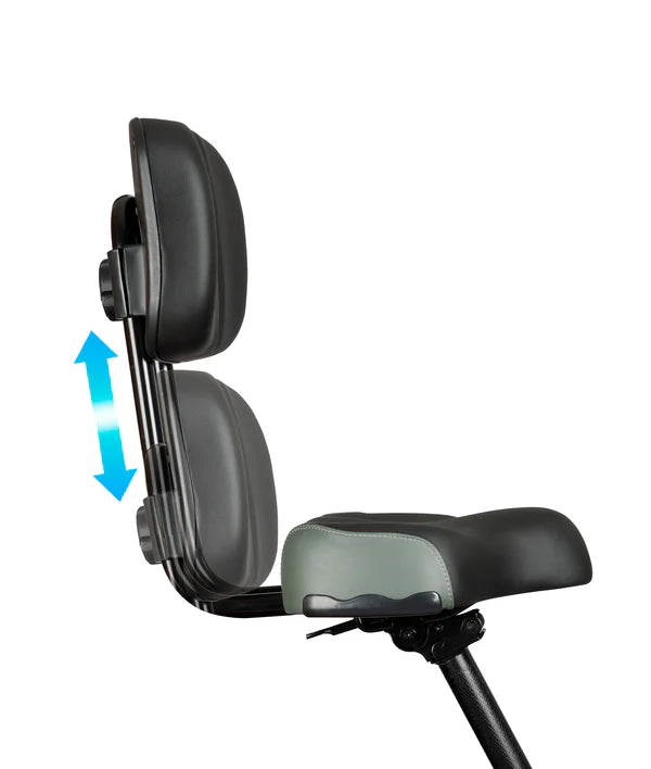 VICTRIP® T1 Foldable Electric Tricycle